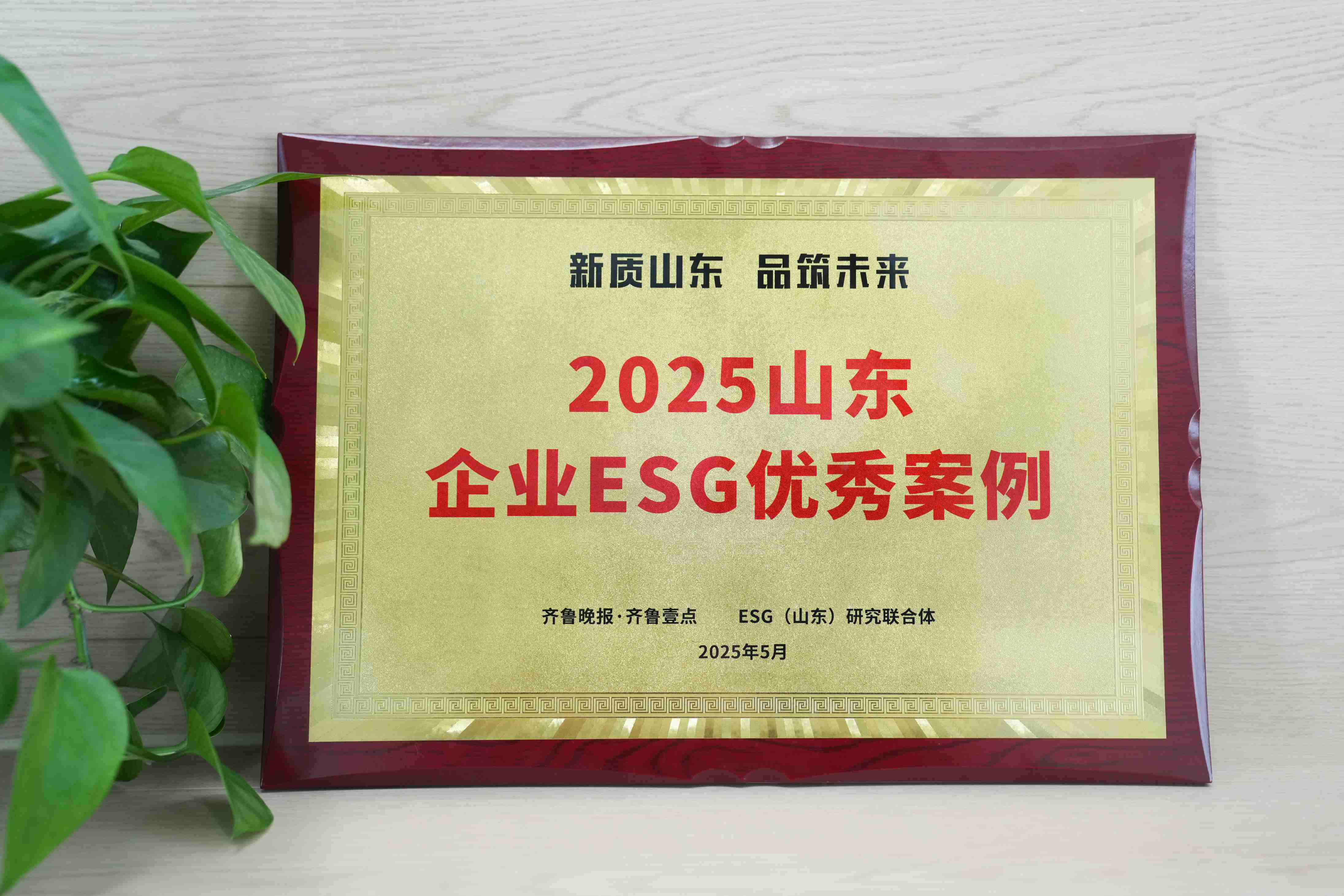 NG28医疗入选2025山东企业ESG优秀案例